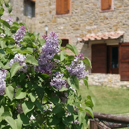 Летний дом Casa Al Moro *